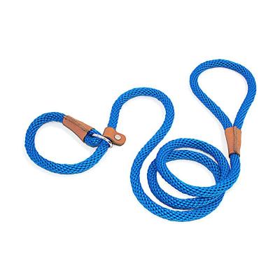 China Viable Durable Mountaineering Rope Leash Portable Sliding Dog Leash for sale