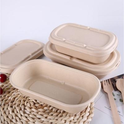 China Biodegradable Sugarcane Bagasse Lunch Box With Lid Eco Friendly Sugarcane Bagasse Food Box Take Out To Go Food Containers for sale