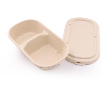 China Biodegradable Quick Takeout Food Packaging Boxes With Lid Biodegradable Sugarcane Container Box Nature Bagasse Pulp Molding for sale