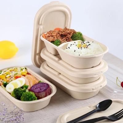 China Biodegradable Compostable Bagasse Sugar Cane Disposable Packaging Food Disposable Boxes for sale