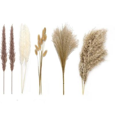 China Natural Touch China Wholesale Customized Layout Wedding Home Decoration Dried Bouquet Mini Natural Pampas Pampas Flower Bouquet for sale