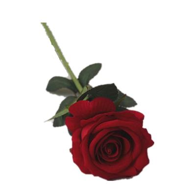 China High Quality Dark Red White Velvet Wedding Bulk Rose Flowers For Sale Natural Touch Home Decoration Artificial Flower Real Touch for sale