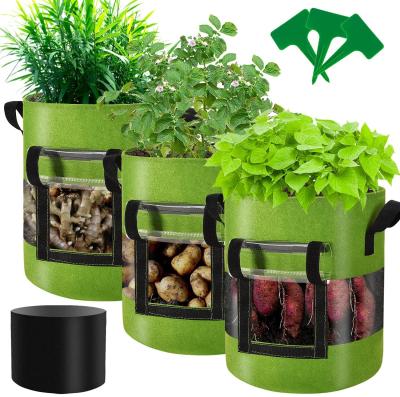 China Seedling Wholesale 1-1000 Gallon Planting Judged Pots Garden Plant Grow Bag With Handle for sale