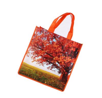 China Eco-friendly Colorful 100% PP Laminated Woven Shopping Bag Bag Customizing On Sale for sale