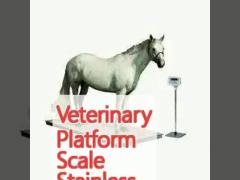 Veterinary Platform Scale Stainless Steel With Indicator