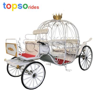 China park wedding crown horse drawn carriage for sale/hollow horse drawn carriage for sale