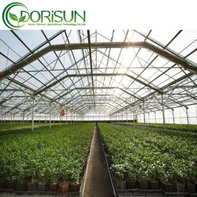 China Medical planting for USA light department deprivation green house tunnel plastic sheet blackout greenhouses for medical hemp for sale