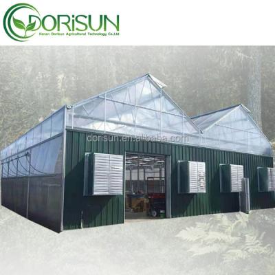 China Medical Plantation For USA Hemp Growing Thermal Blackout PC Sheet Multi Span Curtain Large Span Greenhouse for sale