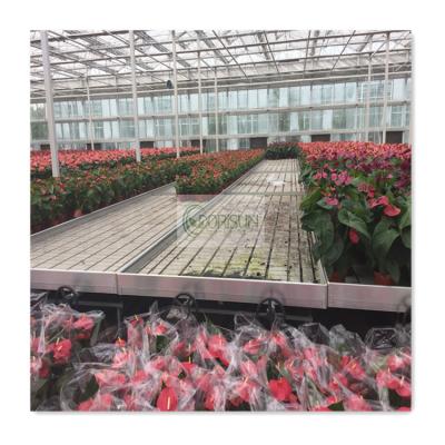 China Greenhouse Medicine Greenhouse Planting Flood Bench System And Drain Rolling Table Rolling Bench for sale