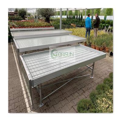 China Greenhouse Medicine Qualified Hydroponic System Greenhouse Seedling Rolling Benches for sale