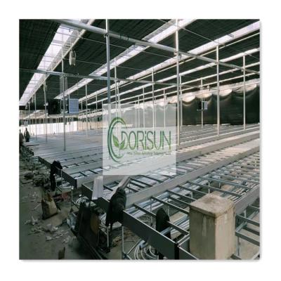 China Mesh Agricultural Galvanized Steel Grow Tables Bench Rolling Work Table with Welded Wire Mesh for Greenhouse Vegetable Growing for sale