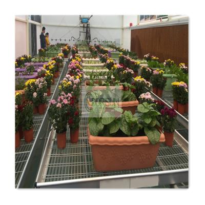 China Low Cost Strawberry Blossom Fruit Fruit Mesh Greenhouse Vegetable Hydroponic Agricultural Table Net Seedling Movable Rolling Benches For Plant for sale