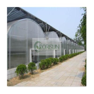 China Side And Top Ventilation Low Cost Agricultural Plastic Film Covered Tomato Multi-Span Greenhouses for sale