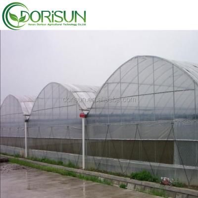 China Side And Top Ventilation Arch Pipe Metal Plastic Sheet Multi-span Agricultural Greenhouse For Strawberries for sale