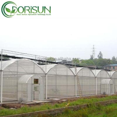 China High Quality Industrial Tropical Plastic Leaf Multi Span Agricultural Ventilation Greenhouse for sale