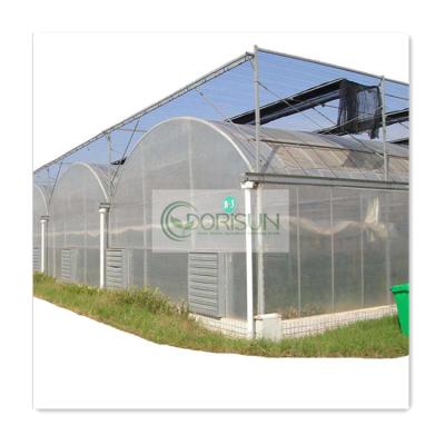 China Side And Top Ventilation China Manufacturers Galvanize Agricultural Plastic Greenhouse Cover High Steel Pipe Invernadero Green House Plastic Tunnel for sale