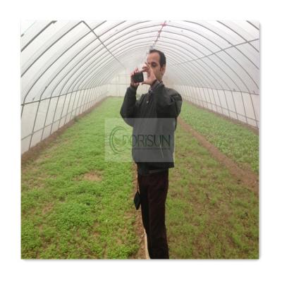 China 50x8m Single Span Greenhouse Vegetable Top Quality Poly Agriculture Tunnel With Fan for sale