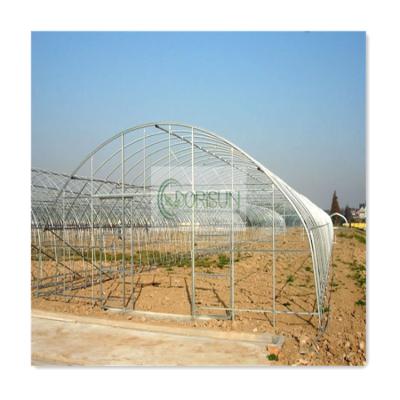 China Vegetable Hot Galvanized Steel Frame 275g/m2 Single Span Greenhouse For Agriculture for sale