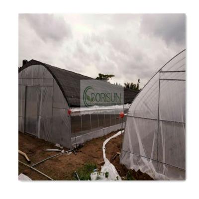 China Vegetable Modern Simple Structure Polycarbonate Large Span Tomato Tunnel Hook Greenhouse Commercial Green Steel Pipe House for sale