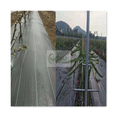 China High Strength Greenhouse Black PP Garden Mulch Film Agricultural Landscape Custom Anti Grass Control Cloth Farm Cloth Ground Cover for sale