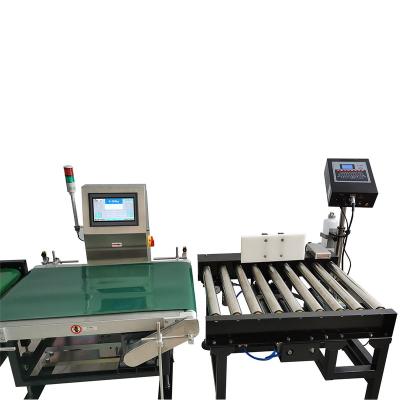 China Vegetable Processing Plant Hot Selling Cost-Effective Multifunctional Combo Inkjet Checkweigher and Coder for Food Processing for sale