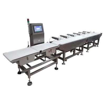 China machine made vegetable processing plant fruit chicken weight sorting in china manufacturer waterproof automatic digital conveyor belt for meat seafood for sale