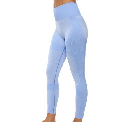 China 7 15days Best Gym Antibacterial Fitness Sets Adults Breathable Seamless Knitted Women Yoga Set Anti Bacterial for sale