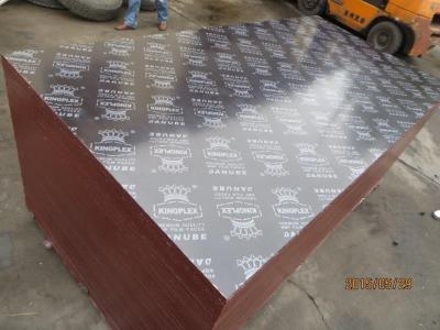 China KINGPLEX BRAND FILM FACED PLYWOOD, COMBI CORE, WBP PHENOLIC GLUE, IMPORTED BROWN FILM for sale