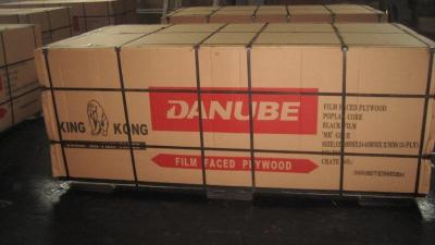 China KINGKONG BRAND FILM FACED PLYWOOD, MR GLUE, POPLAR CORE, BLACK FILM or BLACK PRINTED FILM for sale