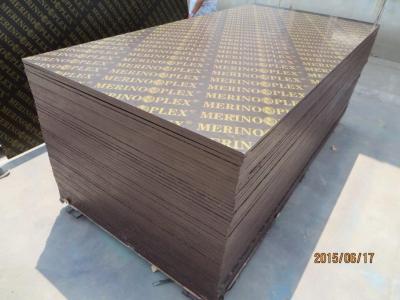 China MERINOPLEX  FILM FACED PLYWOOD, building construction plywood.form work for sale