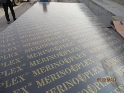 China MERINOPLEX FILM FACED PLYWOOD, building construction plywood.form work.made in china. for sale