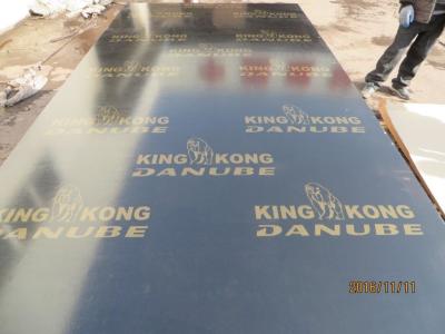 China KINGKONG BRAND FILM FACED PLYWOOD, MR GLUE, POPLAR CORE, BLACK FILM or BLACK PRINTED FILM.HIGH QUALITY for sale