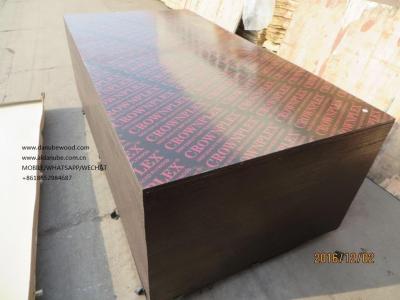 China CROWNPLEX brand film faced plywood,poplar core.Brown film faced Plywood.18mm cheap poplar crown  brand film faced plyw for sale