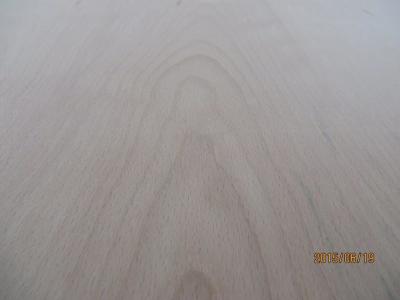 China Europe beech  veneered plywood.Decorative plywood.  veneered plywood.tropical hardwood core for sale