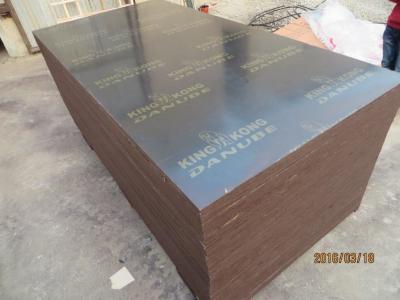 China ONE TIME PRESSED FINGER JOINT FILM FACED PLYWOOD.REUSED TIME: 3-5 TIMES.CHEAPEST PRICE for sale