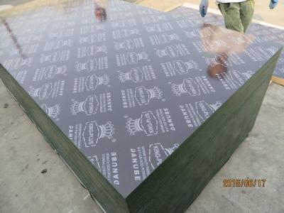 China KINGPLUS FILM FACED PLYWOOD,Concrete construction Shuttering film faced Marine Plywood Formwork Plywood for sale