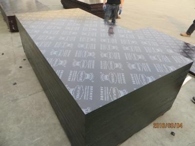 China KINGPLUS FILM FACED PLYWOOD,BROWN film faced plywood for construction for sale