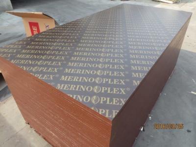 China MERINOPLEX FILM FACED PLYWOOD, building construction plywood.form work.made in china. for sale