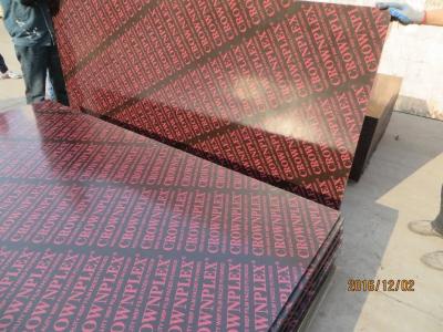 China CROWNPLEX brand film faced plywood,poplar core.Brown film faced Plywood.18mm cheap poplar crown  brand film faced plyw for sale