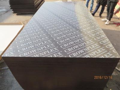 China CROWNPLEX brand film faced plywood,poplar core.Brown film faced Plywood.18mm cheap poplar crown  brand film faced plyw for sale