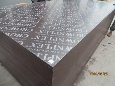 China CROWNPLEX brand film faced plywood,poplar core.Brown film faced Plywood for Pakistan,Karachi for sale