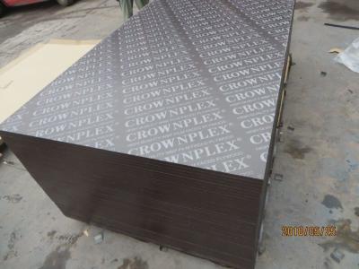 China crownplex film laminated marine plywood for middle east,UAE market for sale