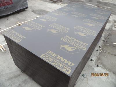 China KANGAROO BRAND  Construction plywood/ Concrete Formwork Plywood/ Shuttering Plywood/ Building Templates for sale