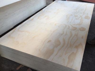 China Pine veneer plywood for export to Albania,kuwait,qatar,bahrain,Iraq.UAE for sale