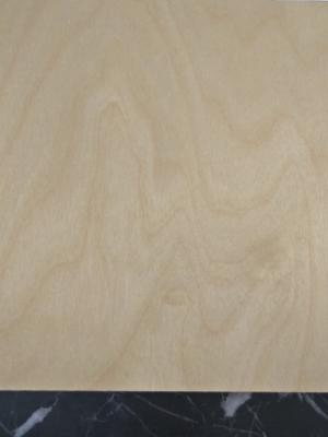 China BIRCH PLYWOOD,POPLAR CORE,FACE/BACK:BIRCH,GRADE C/D,E0 GLUE,FACE AND BACK SANDED for sale