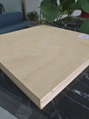 China MANUFACTURER OF BIRCH VEVEER POPLAR CORE PLYWOOD for sale