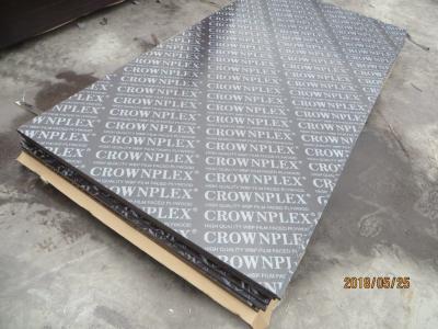 China CROWNPLEX brand film faced plywood,poplar core.Brown film faced Plywood.18mm cheap poplar crown  brand film faced plyw for sale