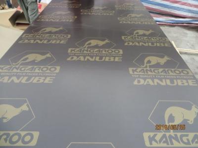 China KANGAROO BRAND FILM FACED PLYWOOD, POPLAR CORE, WBP MELAMINE GLUE,Formwork concrete film faced shuttering marine plywood for sale