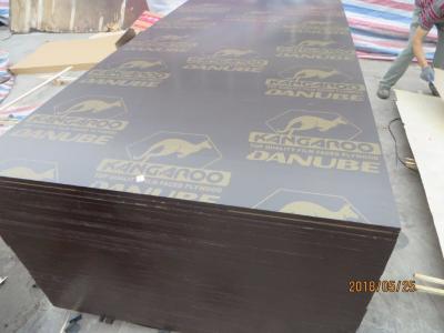 China KANGAROO BRAND FILM FACED PLYWOOD, POPLAR CORE, WBP MELAMINE GLUE,Formwork concrete film faced shuttering marine plywood for sale