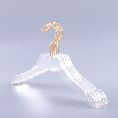 China Eco-friendly adult luxury high-grade transparent acrylic hanger for sale